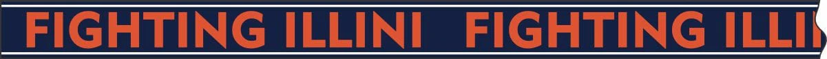 University of Illinois "Fighting Illini" Beaded Purse Strap in Blue and Orange by Desden - Image 3